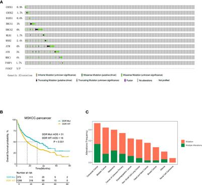 DNA Damage Repair Gene Mutations Are Indicative of a Favorable Prognosis in Colorectal Cancer Treated With Immune Checkpoint Inhibitors